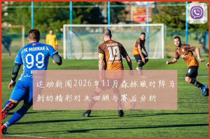运动新闻2026年11月森林狼对阵马刺的精彩对决回顾与赛后分析
